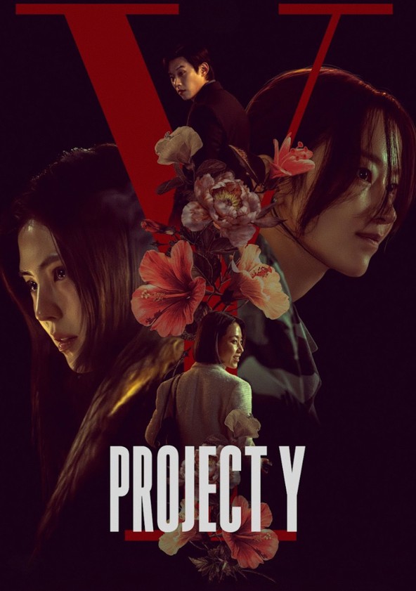 Project Y