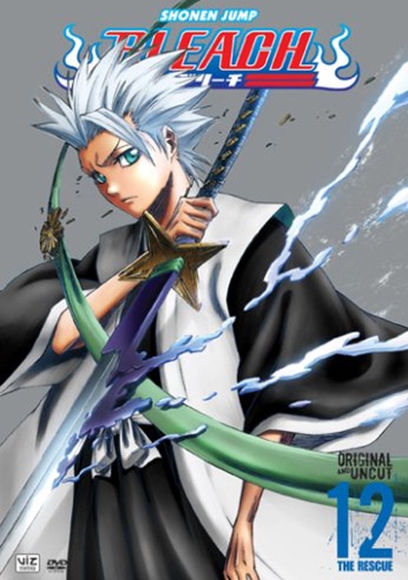 Bleach - Season 12