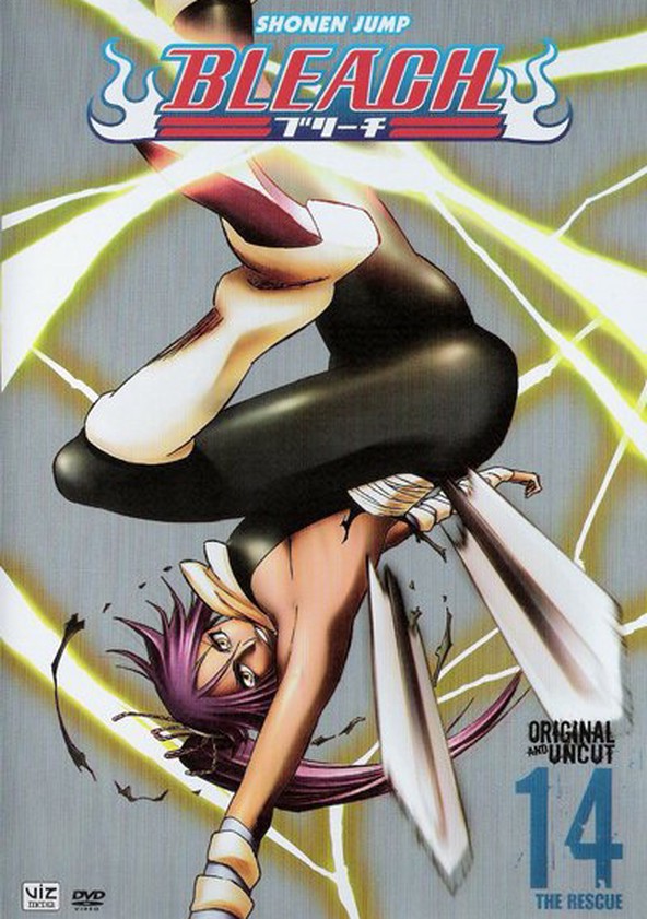 Bleach - Season 14