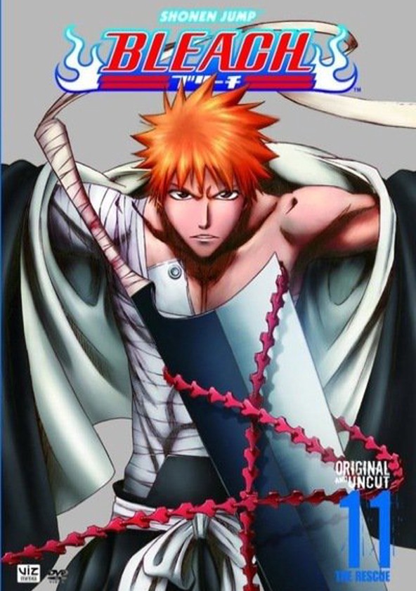Bleach - Season 11
