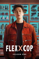 Flex X Cop - Temporada 1