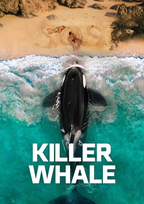 Baleia Assassina