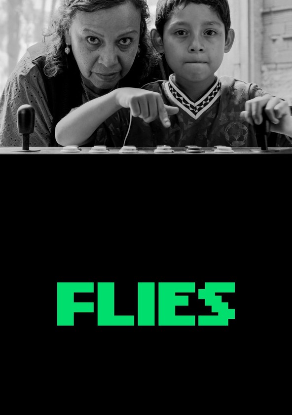 Flies